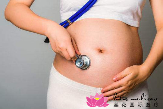 孕期能养宠物吗？风险和注意事项要了解